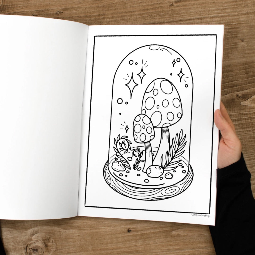 Pixies & Petals: A Fairy Garden Coloring Book by Serafine Art and Design